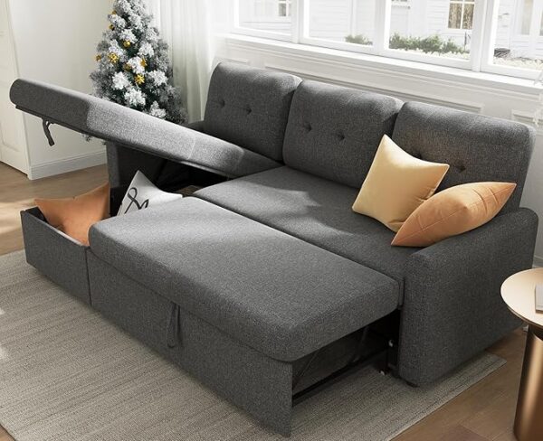 Sleeper Sofa